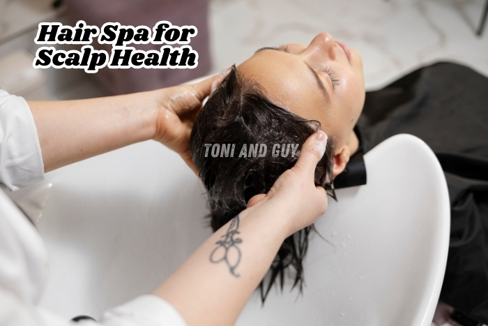 Our treatments deeply cleanse and nourish for a balanced scalp with a relaxing hair spa at TONI & GUY, Coimbatore