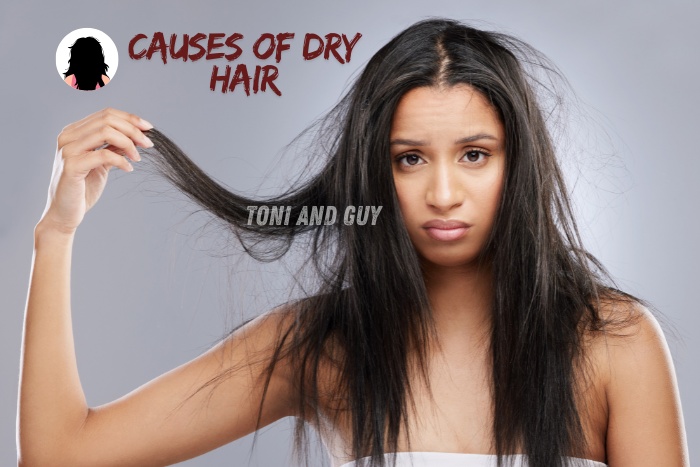 Our specialists restore softness and shine with professional care at TONI & GUY, Coimbatore