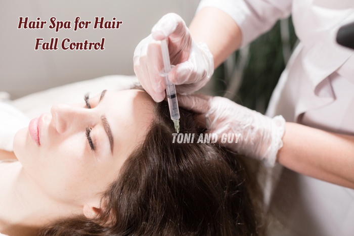 Professional care to strengthen roots and reduce hair loss at Toni & Guy Coimbatore