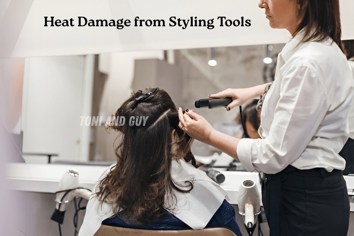 Toni & Guy Coimbatore salon heat damage repair from styling tools with professional care for Expert hairstylists 