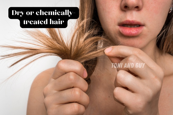 Dry and chemically-treated hair close-up showing damage and split ends at TONI & GUY Coimbatore
